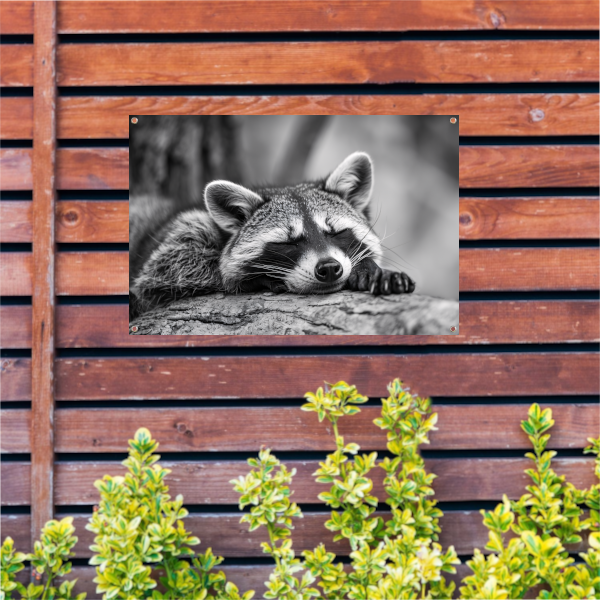 Slapende wasbeer op boomstam tuinposter