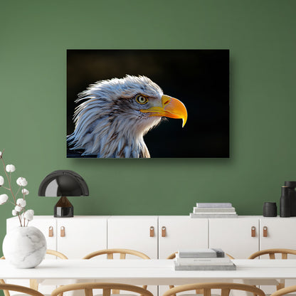 Close-up Amerikaanse Wouw canvas