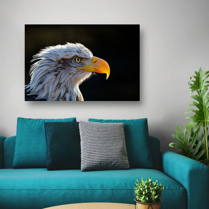 Close-up Amerikaanse Wouw canvas