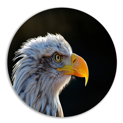 Close-up Amerikaanse Wouw aluminium muurcirkel