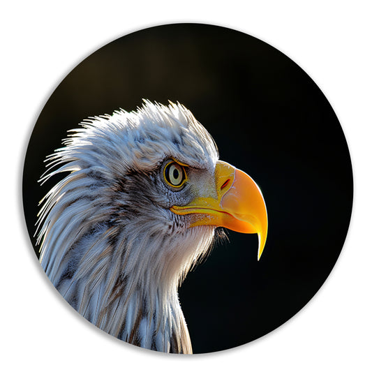Close-up Amerikaanse Wouw aluminium muurcirkel