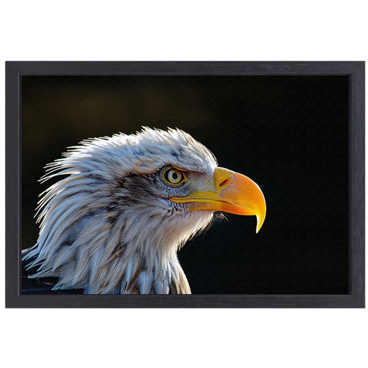Close-up Amerikaanse Wouw canvas met baklijst