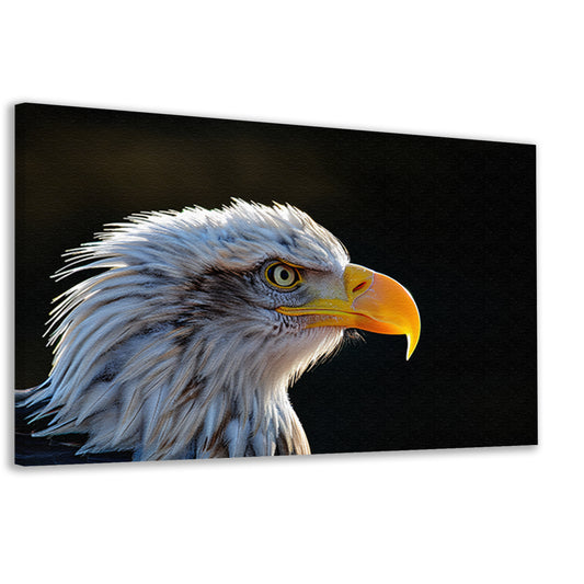 Close-up Amerikaanse Wouw canvas