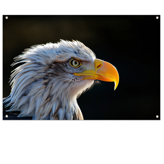 Close-up Amerikaanse Wouw tuinposter