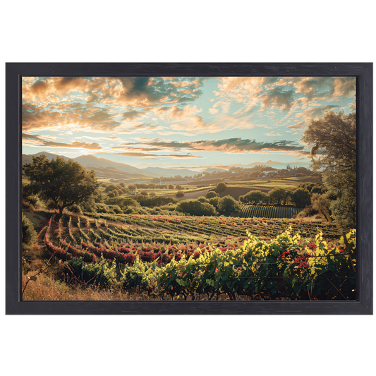 Wijngaard bij zonsondergang canvas met baklijst