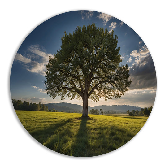 Majestueuze boom in uitgestrekt landschap aluminium muurcirkel