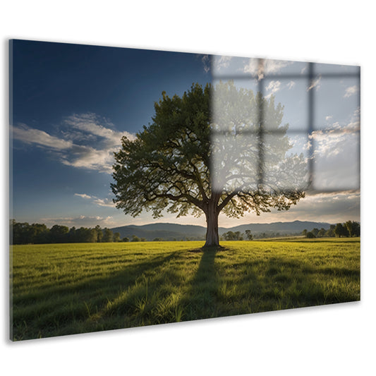 Majestueuze boom in uitgestrekt landschap acrylglas