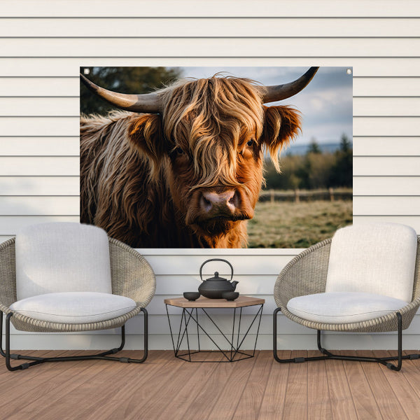 Schotse hooglander in een groen veld tuinposter