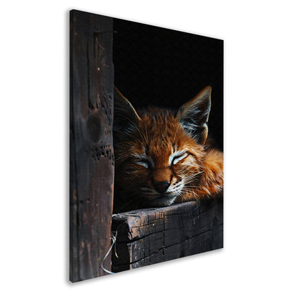 Slapende rode lynx portret canvas