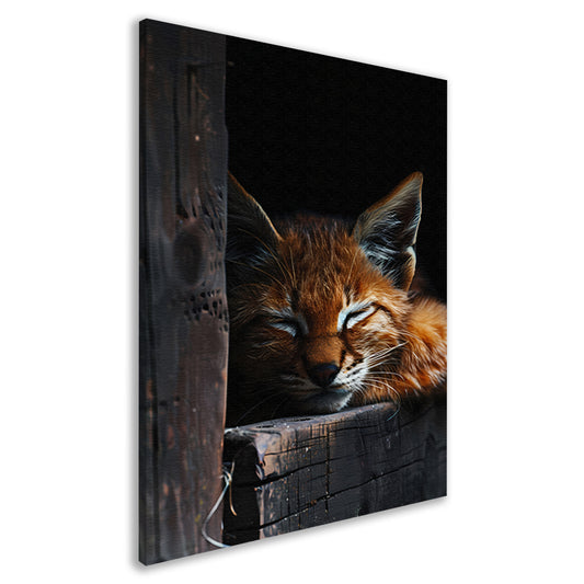 Slapende rode lynx portret canvas