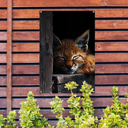 Slapende rode lynx portret tuinposter