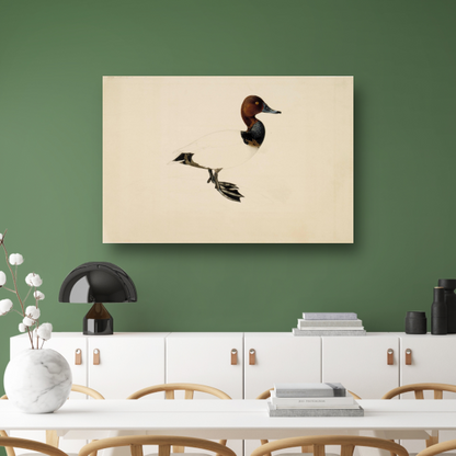 Tafeleend - Wilhelm von Wright canvas met baklijst