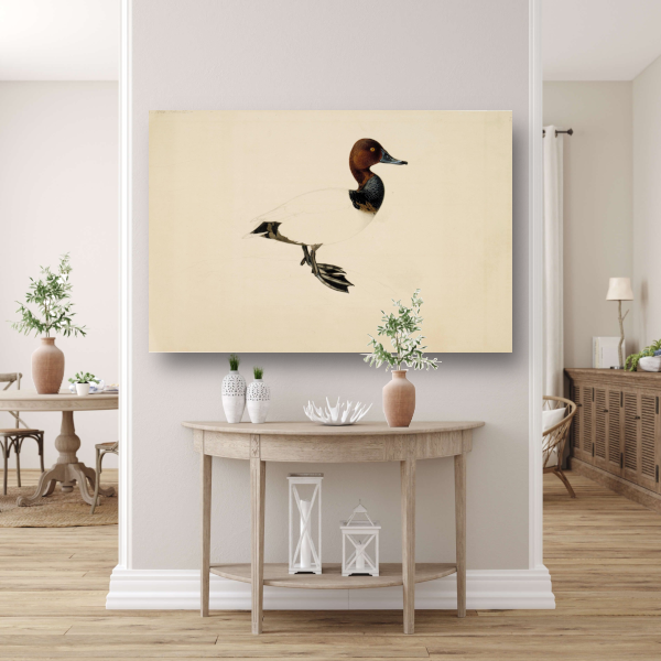 Tafeleend - Wilhelm von Wright acrylglas