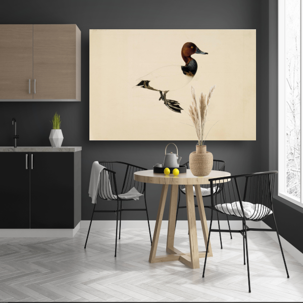 Tafeleend - Wilhelm von Wright acrylglas