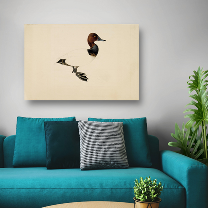 Tafeleend - Wilhelm von Wright canvas met baklijst