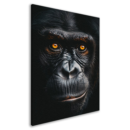 Indringend portret van een aap met intense blik canvas