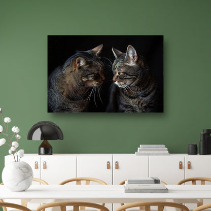 Twee katten in een donkere omgeving canvas met baklijst