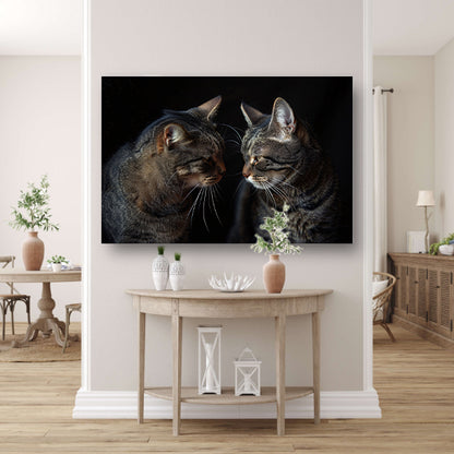 Twee katten in een donkere omgeving canvas met baklijst