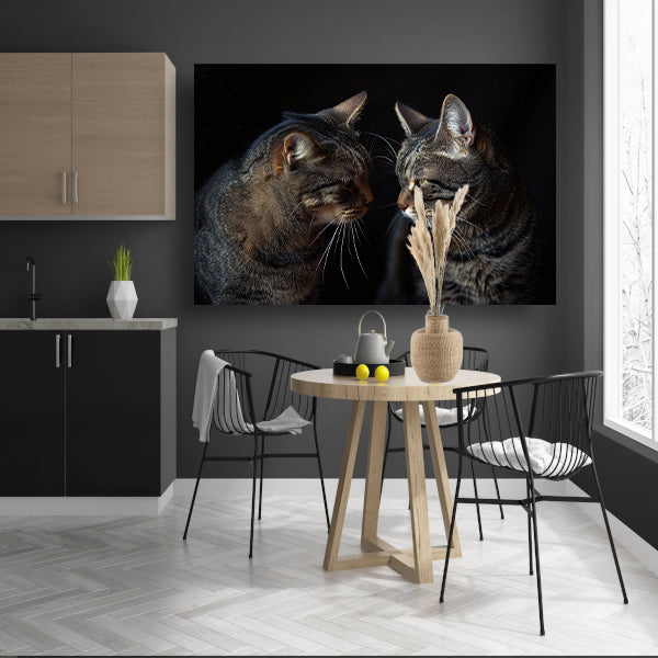 Twee katten in een donkere omgeving canvas met baklijst