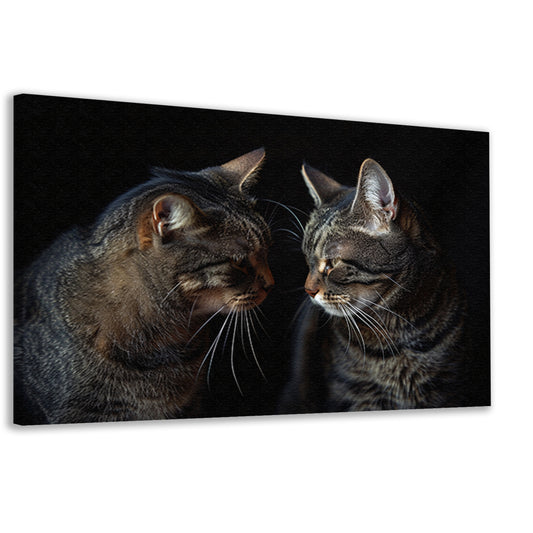 Twee katten in een donkere omgeving canvas