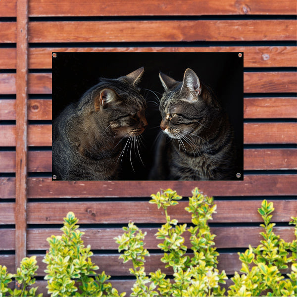 Twee katten in een donkere omgeving tuinposter