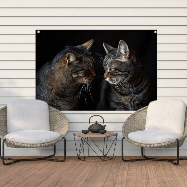 Twee katten in een donkere omgeving tuinposter