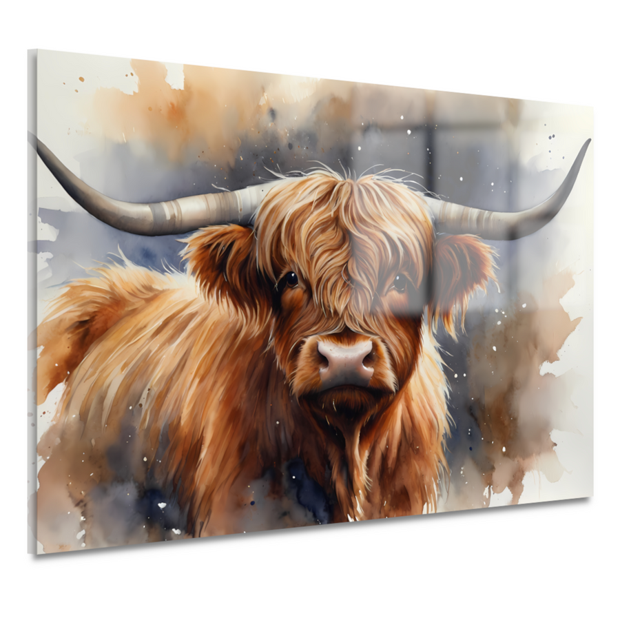 Highland koe portret met waterverf acrylglas