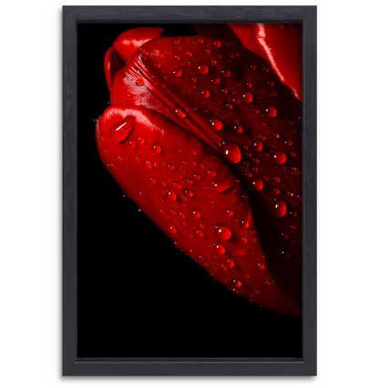Rode Tulp met Dauwdruppels canvas met baklijst