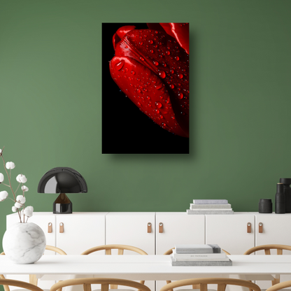 Rode Tulp met Dauwdruppels canvas