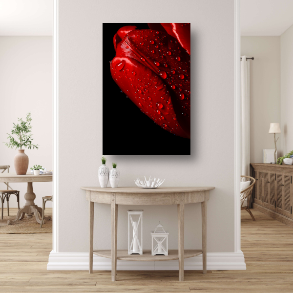 Rode Tulp met Dauwdruppels canvas