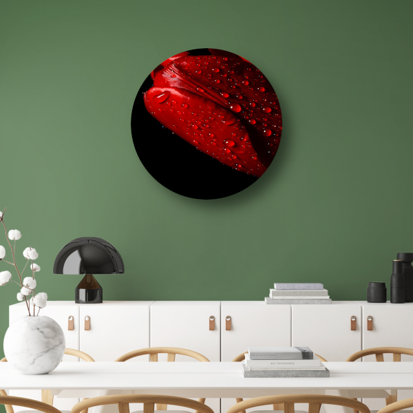 Rode Tulp met Dauwdruppels aluminium muurcirkel