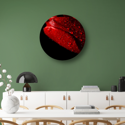 Rode Tulp met Dauwdruppels aluminium muurcirkel