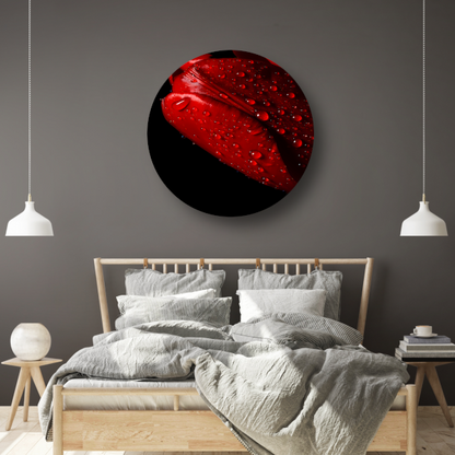 Rode Tulp met Dauwdruppels aluminium muurcirkel