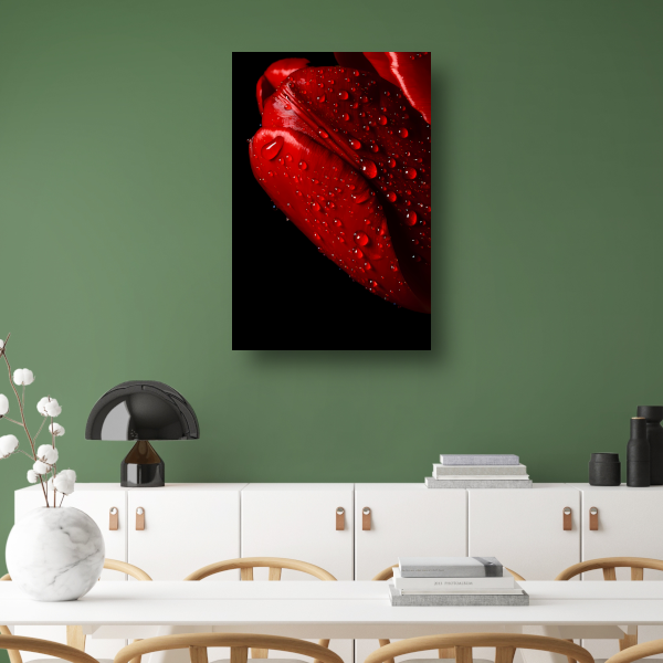 Rode Tulp met Dauwdruppels poster