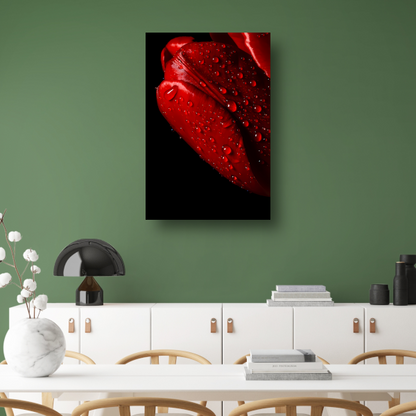 Rode Tulp met Dauwdruppels poster