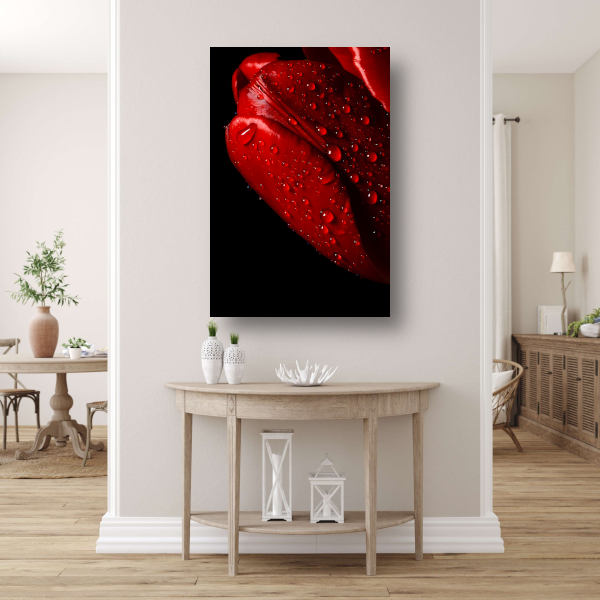 Rode Tulp met Dauwdruppels poster