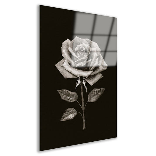 Minimalistische Charcoal Tekening van een Roos acrylglas