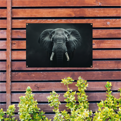 Olifant in het Duister met Slagtanden tuinposter