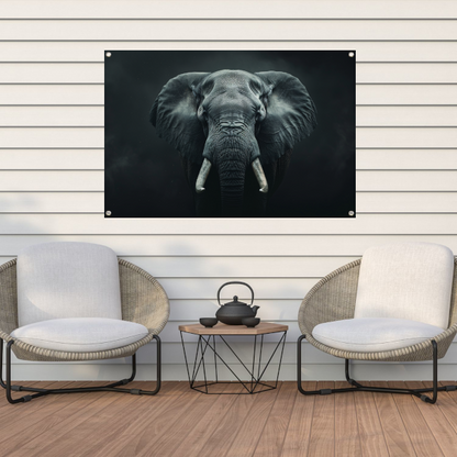 Olifant in het Duister met Slagtanden tuinposter