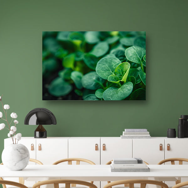 Close-up van groene spruiten met diepte canvas