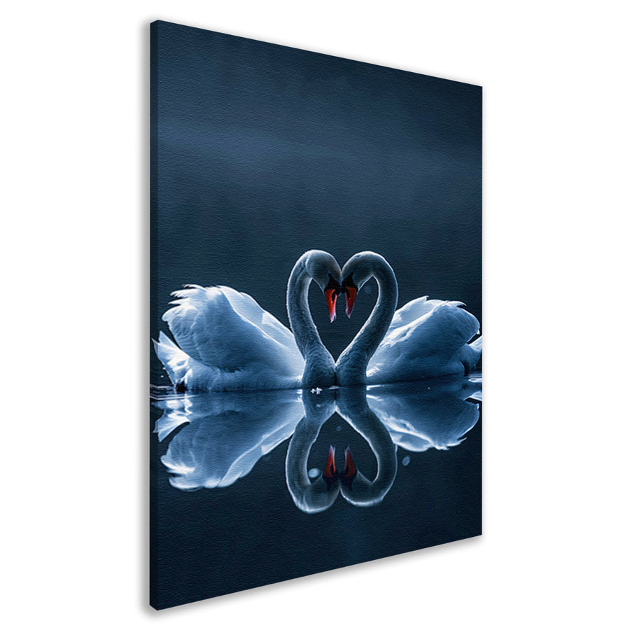 Twee zwanen vormen een hart canvas