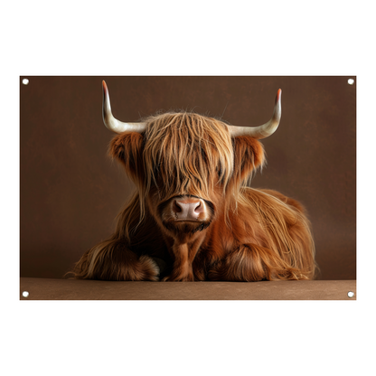 Schotse hooglander met rustgevende blik tuinposter