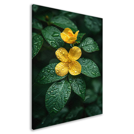 Gele bloem met dauwdruppels na de regen canvas