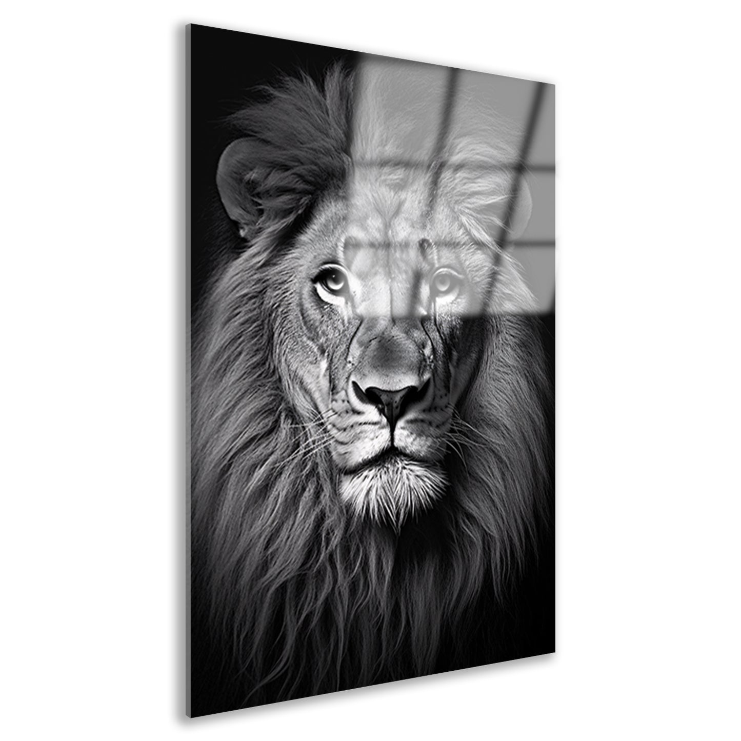 Koning der Dieren: Zwarte en Witte Leeuw Acrylglas