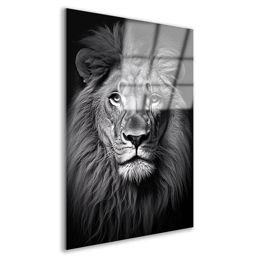 Koning der Dieren: Zwarte en Witte Leeuw Acrylglas
