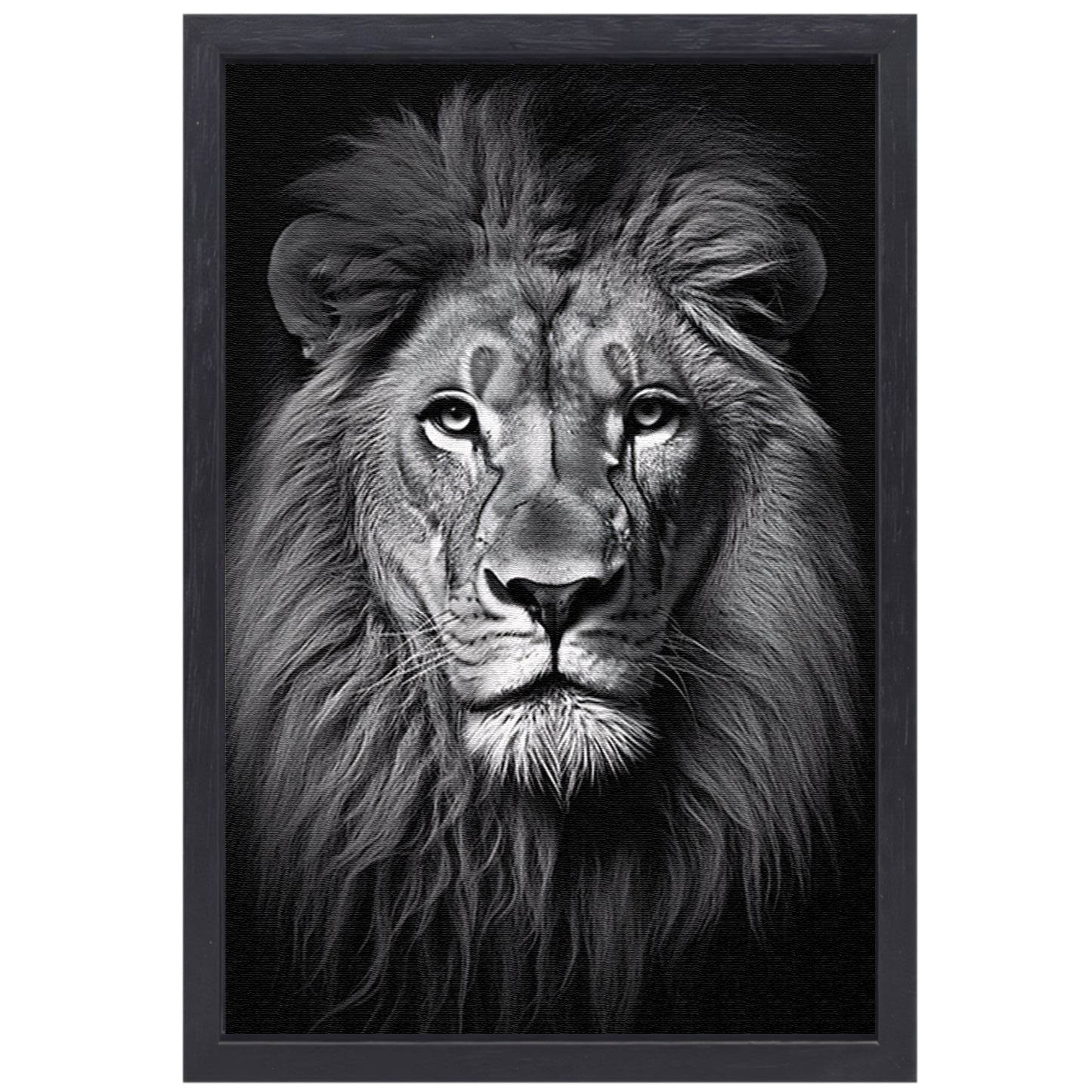 Koning der Dieren: Zwarte en Witte Leeuw canvas met baklijst