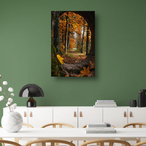 Herfstbos door een holle boom poster