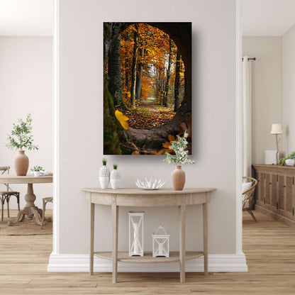 Herfstbos door een holle boom poster