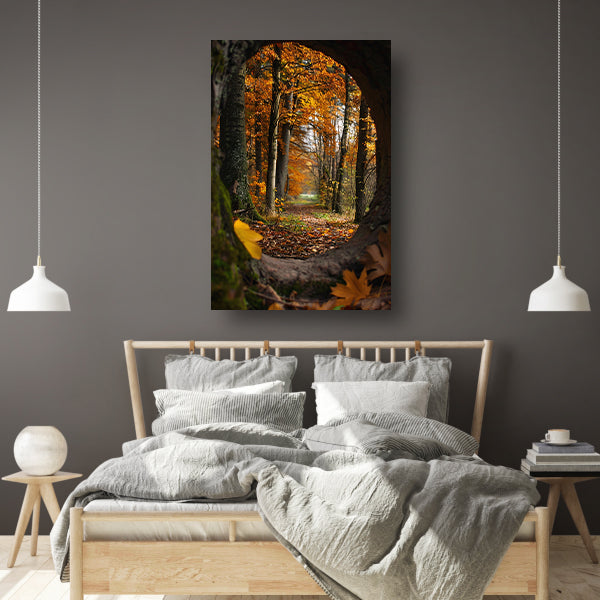 Herfstbos door een holle boom poster