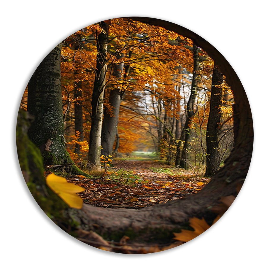 Herfstbos door een holle boom forex muurcirkel